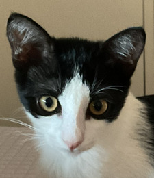 Esther
