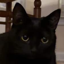 Amanda