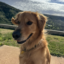 Bella Herrman