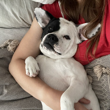 Molly