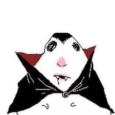 Kayou