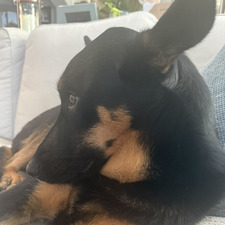 Lo
