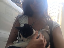 Hazal