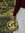 member photo member photo
