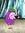 RiceV