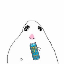 umabird