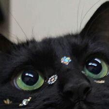 zoya