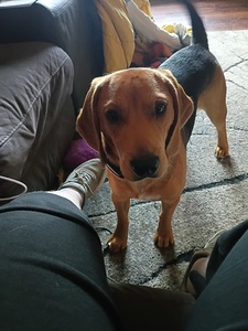 Ava Sherek