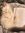 miaou