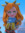 Ami