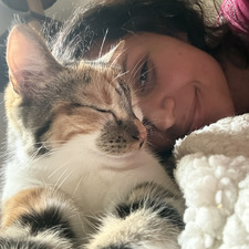 Elisa