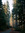 Malou Lebreton