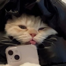 leooo