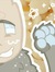 ⁺‧₊˚ ཐི⋆♱⋆ཋྀ ˚₊‧⁺ ᴿᴬᴰᴵᴬᵀᴱᴰ ᴷᴬᴵ