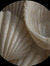 Raghad