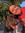 Cambria Monroe