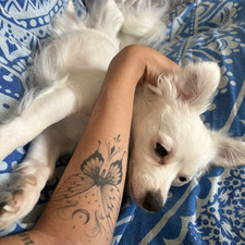 Lu