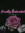 Trish Morally_Bookmarked