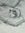 Evi