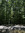 Lola