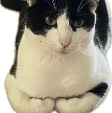 kati