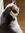 member photo member photo