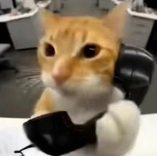 pijonzinho
