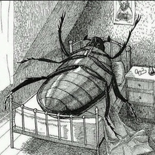 Lucy