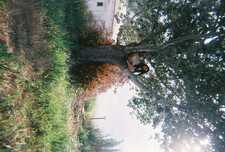 Celia
