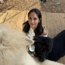 Mansha Mathur