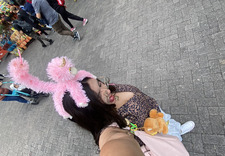 fer monrreal
