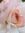 K Phinney
