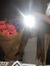 Neeve