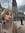 Sumru Bozkurt