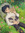 Eloïse