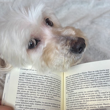booksfers