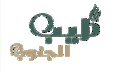 مؤسسة طيب