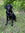 Maggie