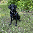 Maggie