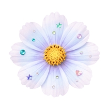 ✿