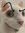 N0tAG1ng3rCat
