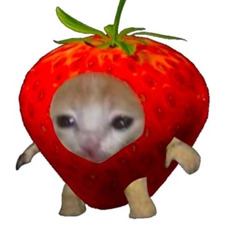 Eruflette