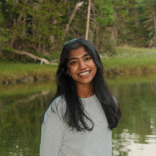 Kavya