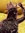 YellowBlackKing | 4090 comments