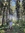 Yunus Emre 