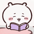 tsbr
