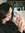 Tammy-lee Randall