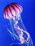 just a jellyfish 