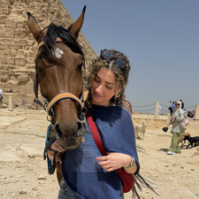arwa