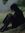 Ayesha Rahman